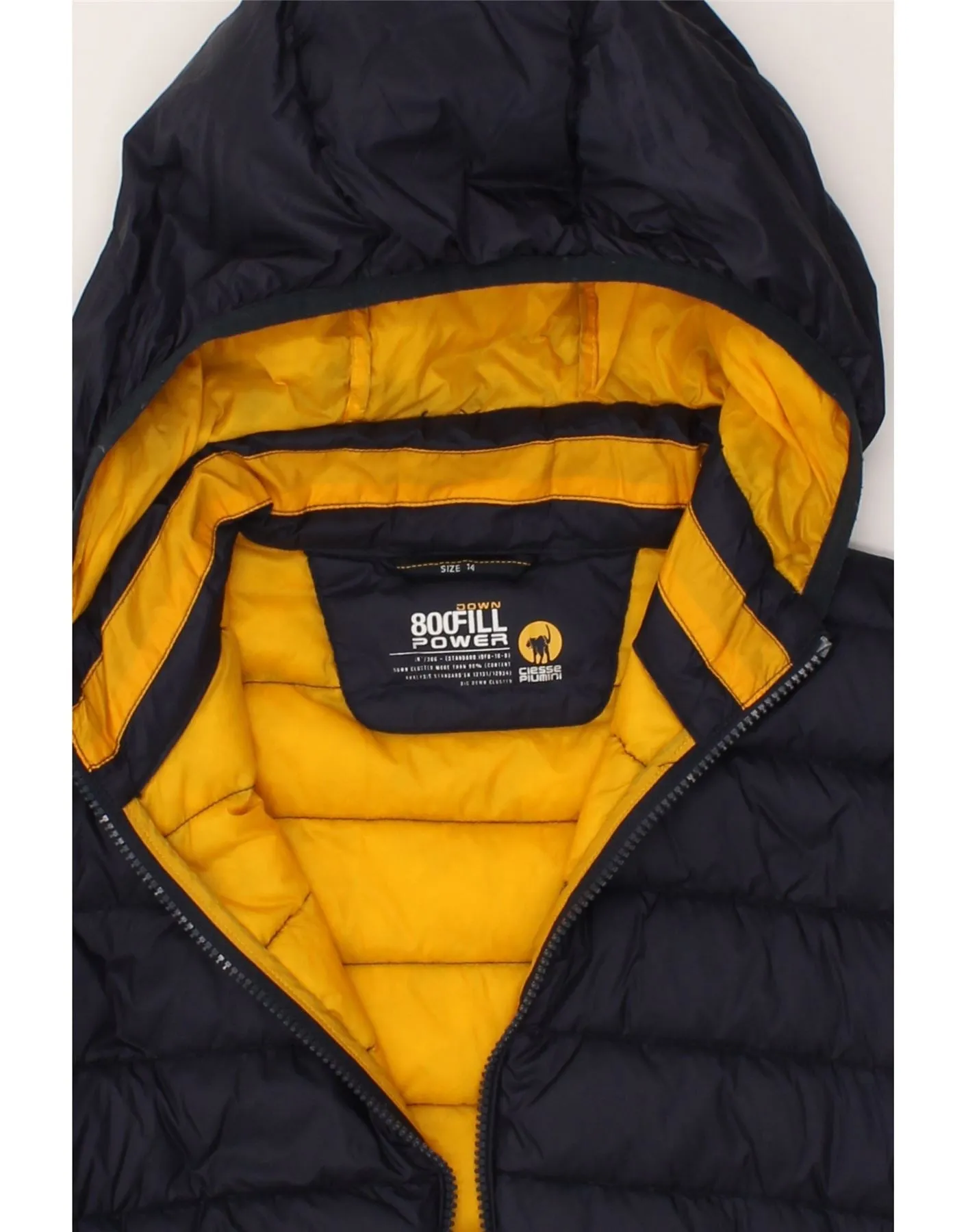 CIESSE PIUMINI Boys Hooded Padded Jacket 13-14 Years Navy Blue Polyester