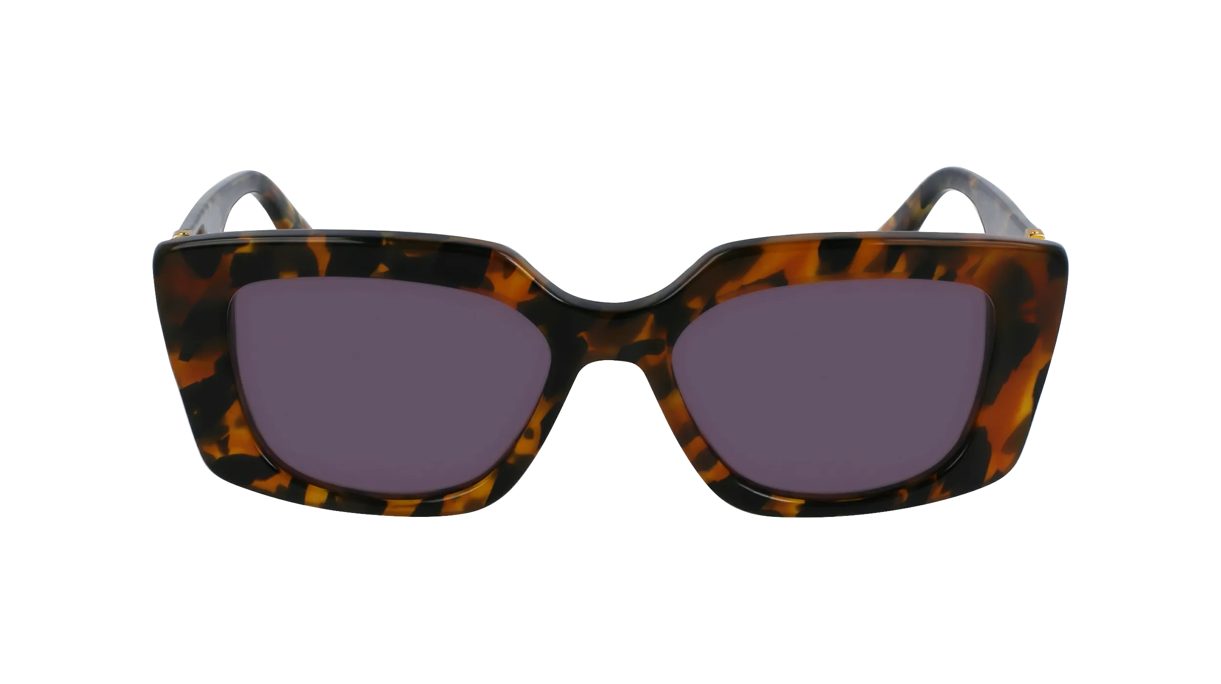   Karl Lagerfeld KL6125S 234