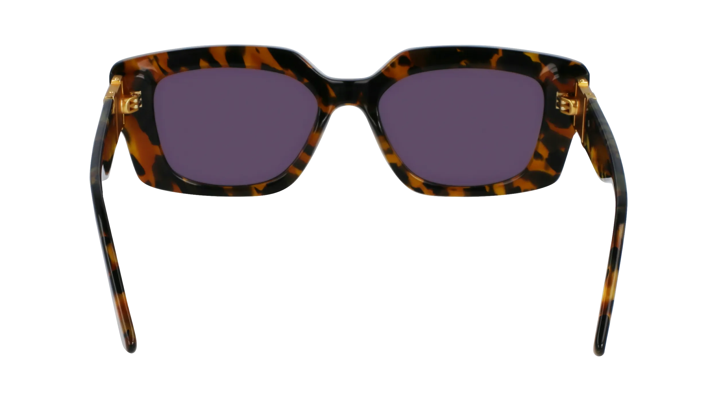   Karl Lagerfeld KL6125S 234