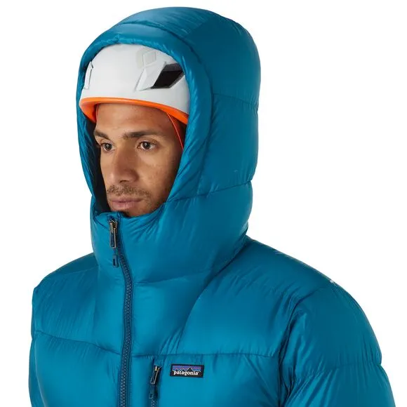 M's Fitz Roy Down Parka  Patagonia
