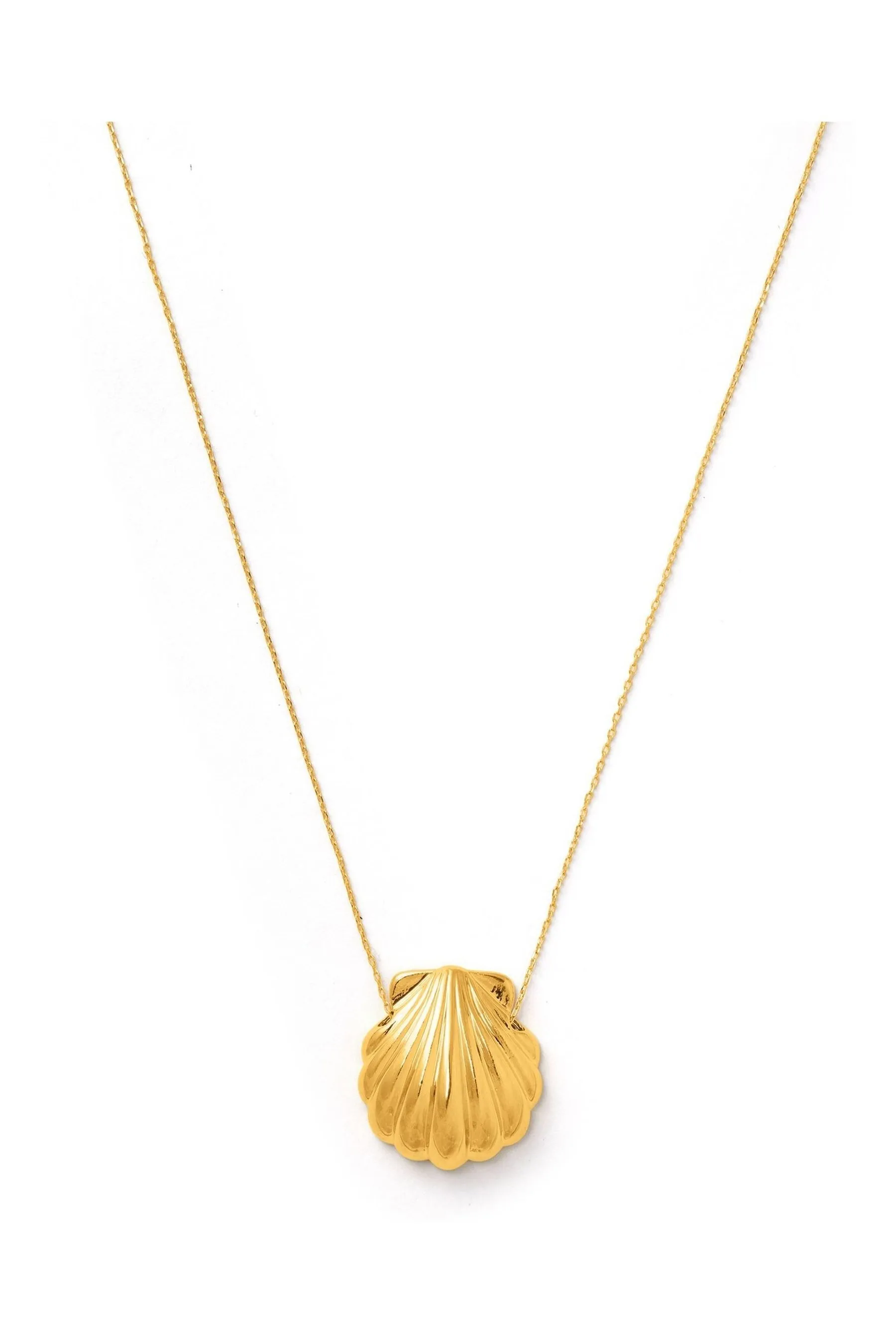Orelia London Oro - Collana placcata con conchiglia
