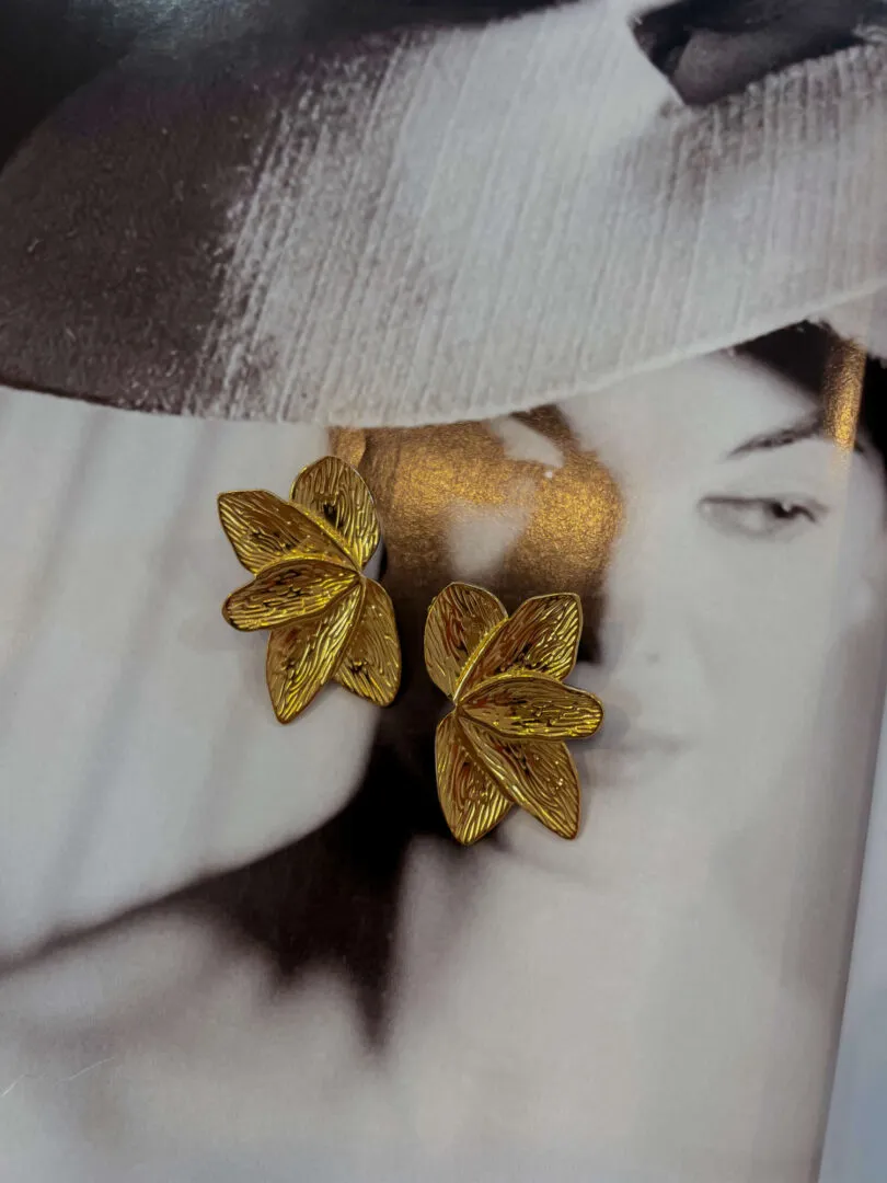 Steel Earrings